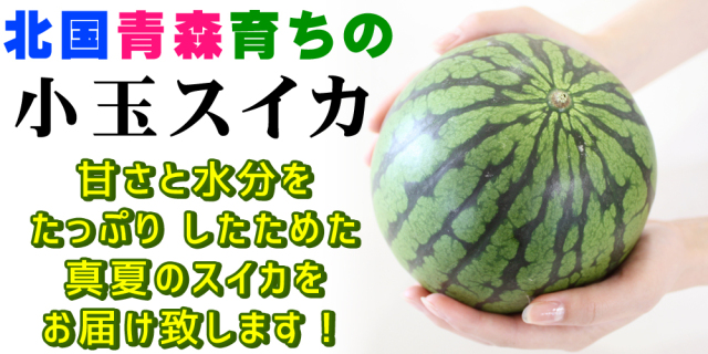 小玉スイカ 送料無料 【青森県産 小玉すいか 南部華手毬 5kg以上】 3玉
