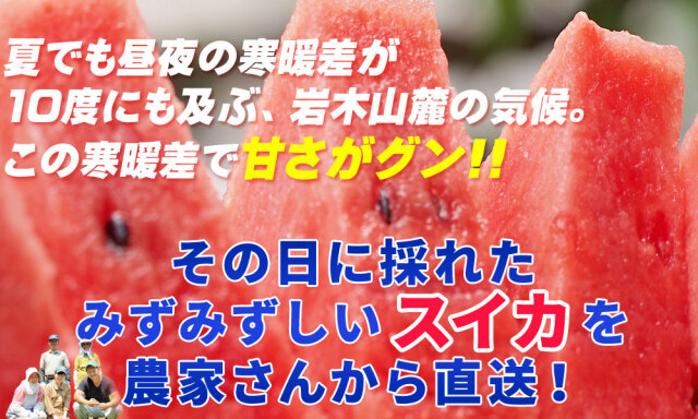 黒小玉スイカ 送料無料 メガ盛り 【青森県産 ブラック小玉すいか 5kg