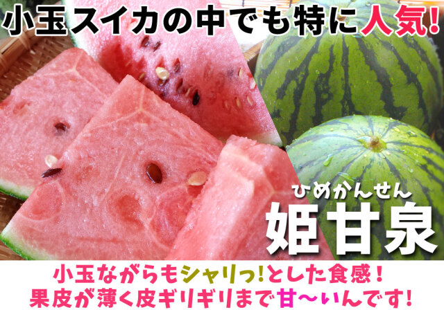 黒小玉スイカ 送料無料 メガ盛り 【青森県産 ブラック小玉すいか 5kg