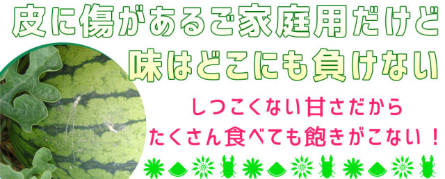 小玉スイカ 送料無料 【青森県産 小玉すいか ピノガール 5kg以上】 ご