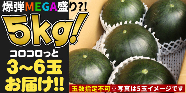 黒小玉スイカ 送料無料 メガ盛り 【青森県産 ブラック小玉すいか 5kg