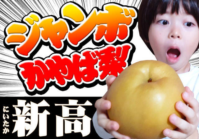 旬の果物〜青果市場直送 楽天市場】フルーツタワー（3段） アオキフルーツ[おすすめ黒赤