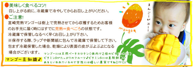 マンゴー 訳あり 送料無料 【宮崎県産 完熟マンゴー 家庭用850g