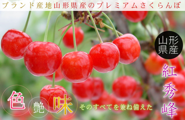 さくらんぼ お中元【山形県産 さくらんぼ 紅秀峰 秀品2L玉