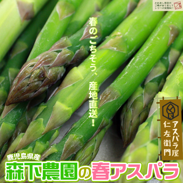 あすぱらがすページ e664e2e8bd34a6f4cefbc67a18b5b0
