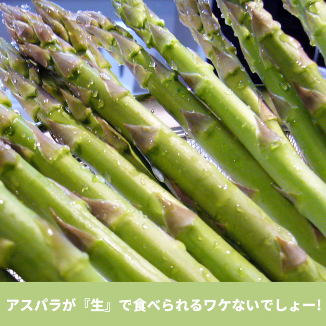 あすぱらがすページ e664e2e8bd34a6f4cefbc67a18b5b0