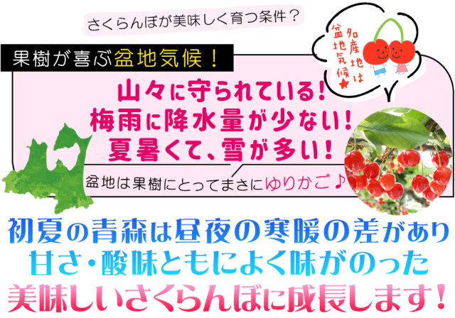 のほほん　さま専用　本日限り 宮内庁御用達 辻精磁社】染錦未草ボンボニエール戌箱 | 株式会社