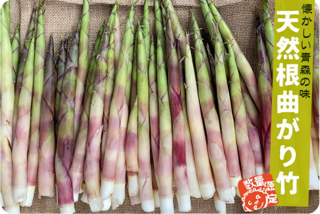 たけのこ 送料無料 根曲がり竹 今が旬 【天然根曲がり竹（生）1.5kg
