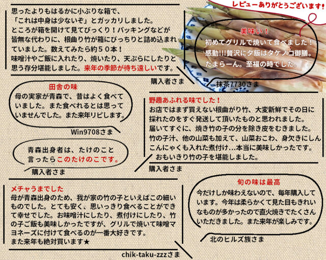 たけのこ 送料無料 根曲がり竹 今が旬 【天然根曲がり竹（生）1.5kg