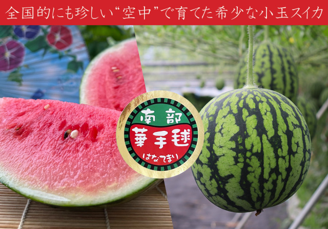希少 ハート型 小玉スイカ 送料無料 【青森県産 小玉すいか 南部