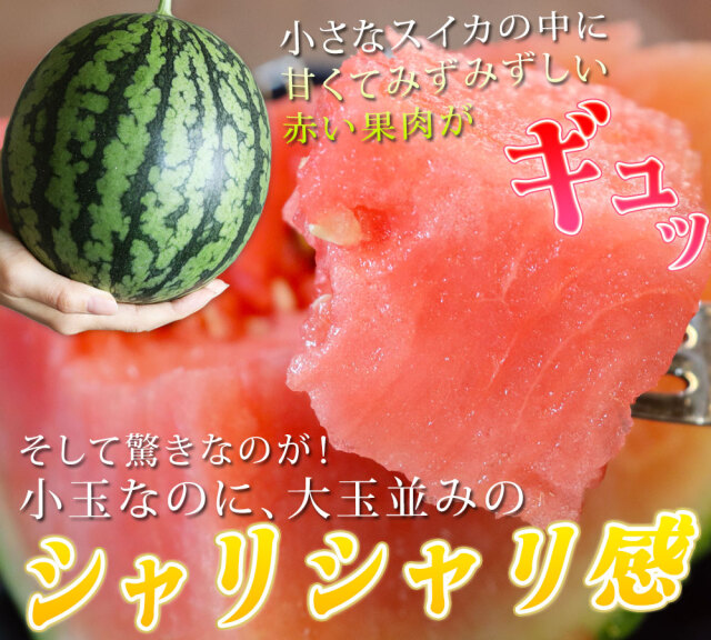 青森県 南部地方産 硬い洋梨(バートレット)中玉サイズ総重量 約24㎏