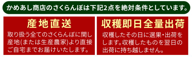 さくらんぼ様 ご確認用ページ さくらんぼ 送料無料 【青森県産 さくらんぼ サミット バラ詰め800g L