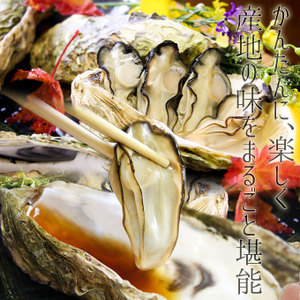 県内配達致します！牡蠣を焼くにもOK！商売繁盛間違えなし。 殻付き牡蠣 同梱用単品】(缶無し15個詰め) 鮮度抜群☆産地の旨さを