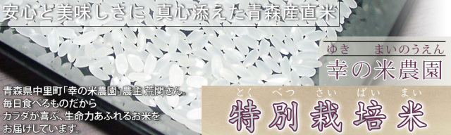 青森県産もち米玄米 Amazon.co.jp: 【もち米 玄米】山形産 ひめのもち 5kg : 食品