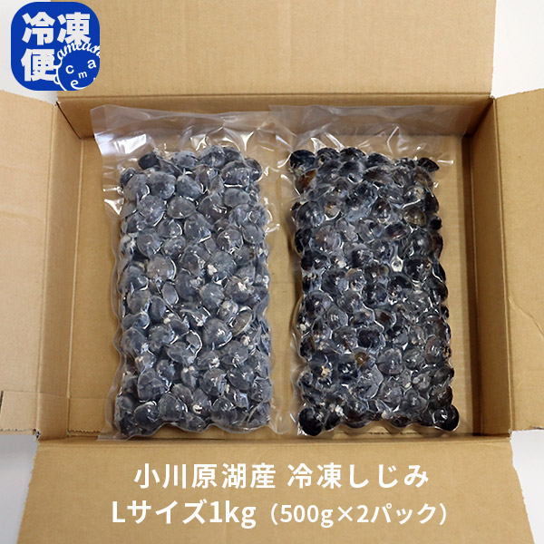 青森 しじみ貝 販売 送料無料 【小川原湖産 冷凍しじみ Lサイズ