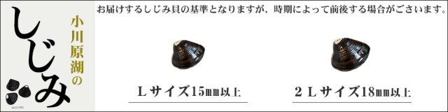 しじみ様購入用ページ しじみ 冷凍 Lサイズ 宍道湖産 約1kg 殻付き 砂抜き済み 下処理