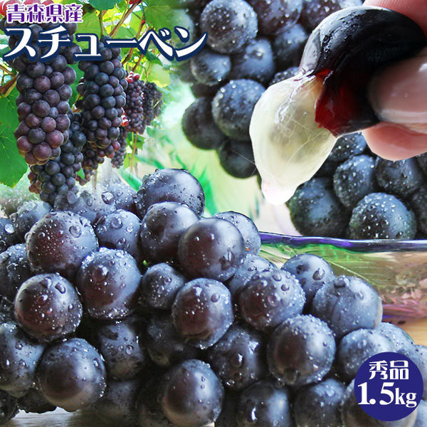 青森県産ぶどう スチューベン1.5kg】 (4-7房入)贈答用 送料無料 青森県
