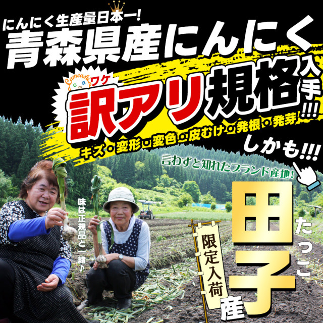 青森県産 にんにく【田子町産 バラ詰めにんにく 訳あり1kg】 送料無料