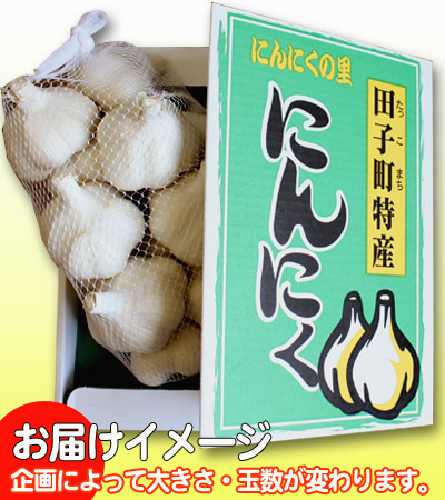 青森県産にんにく　М　５キロ 楽天市場】青森県産 5キロ にんにくの通販