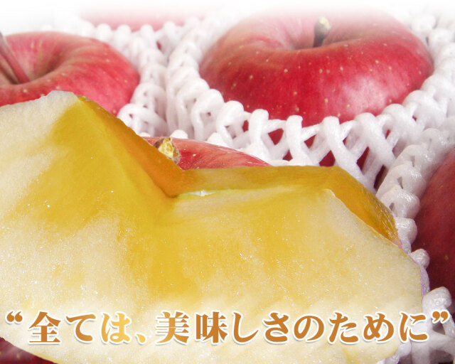 【サンふじ】【✨特級品✨】青森県産‼️サンふじ　りんご　１４キロ　送料無料 高糖度 サンふじ りんご 青森 14-18玉 約5kg サンふじりんご 5kg