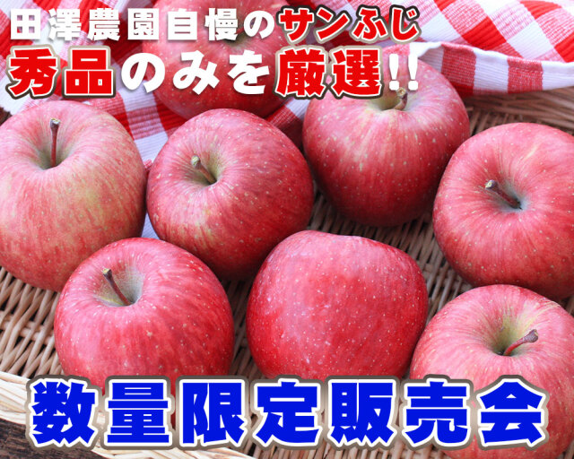 りんご ふじ 送料無料 贈答用 【青森県産りんご サンふじ秀品5kg前後