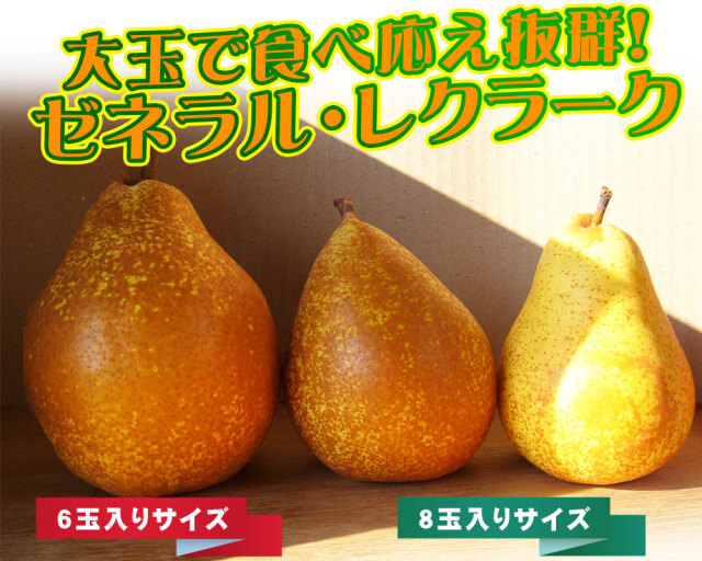 プレコース　20kg 硬い洋梨 プレコース 硬い洋梨 20kg 果物