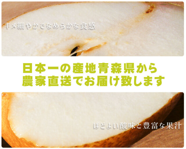 洋梨 送料無料 【青森県産洋梨 ゼネラルレクラーク2.5kg】（6～9玉入