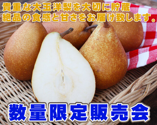 洋梨 送料無料 【青森県産洋梨 ゼネラルレクラーク2.5kg】（6～9玉入