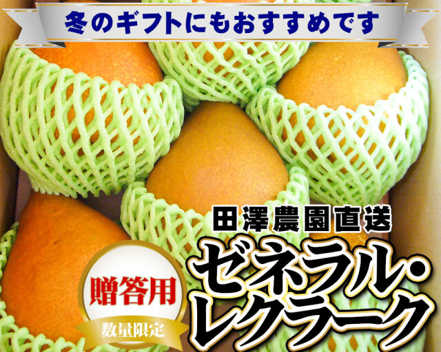 洋梨 送料無料 【青森県産洋梨 ゼネラルレクラーク2.5kg】（6～9