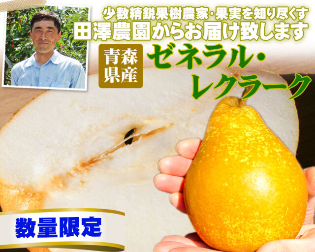 青森県産農薬不使用硬い洋梨プレコース15キロ送料無料 梨 4kg おまかせ洋梨 青森産 ご家庭用 送料無料 食品 : 花と緑