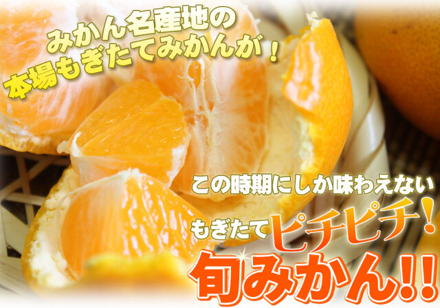 みかんみかん様　リクエスト1点 安納芋 みかん 夢の詰め合わせ 送料無料【安納芋2kg＋みかん箱