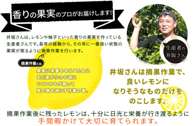 国産 レモン 送料無料 減農薬栽培 ノーワックス 防腐剤不使用