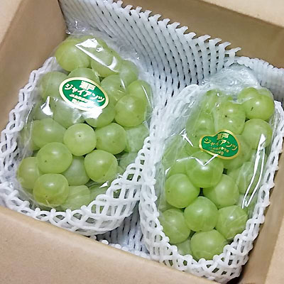 山葡萄の皮 損ね 2.5kg / 胡桃の皮 1.1kg