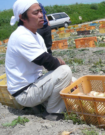 たまねぎ 名人 射手矢さんが作る絶品【泉州たまねぎ4kg（10～20玉
