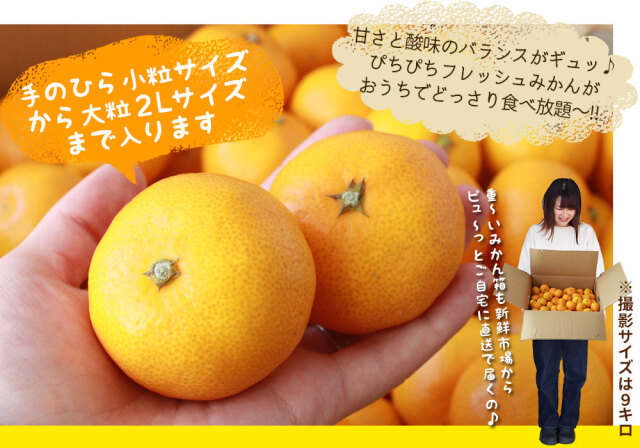 ちぁちぁん　南柑20号サイズ混合4.5kg×２箱ぐるりん 000000004447-01-l.jpg?t=