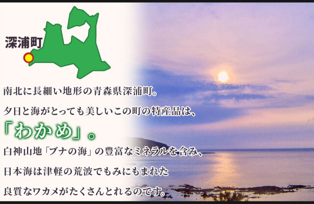 つるつるわかめ 青森県深浦産わかめ100％【つるつるわかめセット】 2