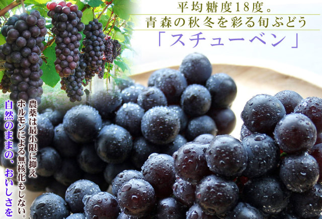 国産 ワイン 青森スチューベン【339 スチューベンワイン】750ml×1本