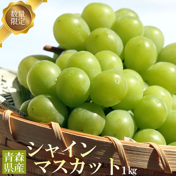 青森県産 【青森県産 ぶどう シャインマスカット 1kg前後】2－3