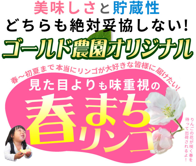 送料無料 【葉とらずりんご ふじ（有袋）ファーム10kg】りんご の常識