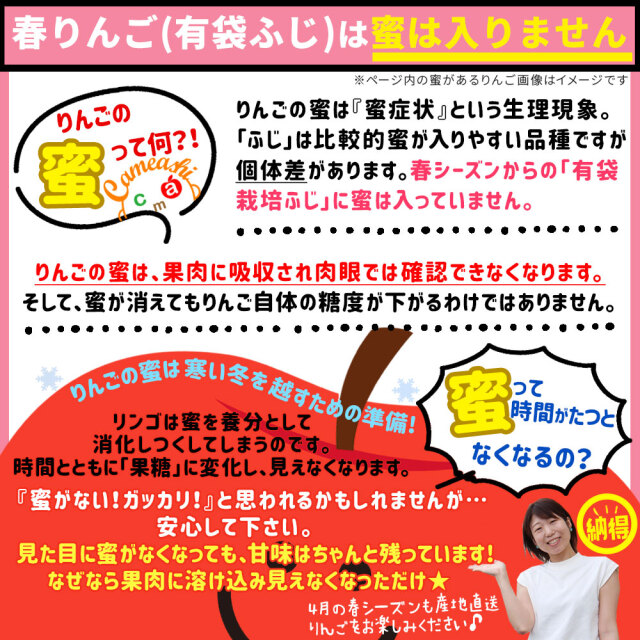 りんご の常識を変える☆本場 青森 送料無料 【葉とらずりんご ふじ
