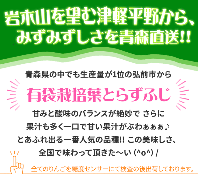 りんご の常識を変える☆本場 青森 送料無料 【葉とらずりんご ふじ