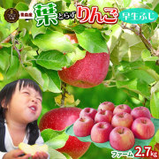 葉っぱの影は甘さのサイン【葉とらずりんご 早生ふじ2.7kg ファーム】 家庭用 (7-12玉) 本場青森 送料無料 ゴールド農園 りんご 青森産 サンふじ リンゴ 林檎 アップル 訳あり 青森りんご [※産地直送のため同梱不可]