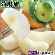 湧き出る甘い果汁 幻の 和梨 送料無料【萱場梨 贈答用3kg前後 6-9玉 2L以上】名人石田果樹園から産地直送! 品種お任せ 梨 訳あり 梨 幸水 豊水 二十世紀 南水 あきづき 萱場梨  かやば梨 [※産地直送のため同梱不可]