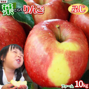 葉っぱの影は甘さのサイン 【葉とらずりんご ふじ１０ｋｇ ファーム】 家庭用(26-46玉) 本場青森 送料無料 ゴールド農園から産直新鮮便 サンふじ りんご リンゴ 林檎 アップル 訳あり 青森りんご [※産地直送のため同梱不可] 「GOLD」