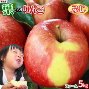 葉っぱの影は甘さのサイン 【葉とらずりんご ふじ５ｋｇ ファーム】 家庭用(13-23玉) 本場青森 GOLD農園 送料無料 ゴールド農園から産直新鮮便 サンふじ りんご リンゴ 林檎 アップル 訳あり[※産地直送のため同梱不可] 「GOLD」