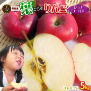 葉っぱの影は甘さのサイン 【葉とらずりんご ジョナゴールド5kg プレミアム】(14-18玉)贈答用 本場青森 ゴールド農園 送料無料 りんご リンゴ [※産地直送のため同梱不可]