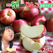 葉っぱの影は甘さのサイン 【葉とらずりんご 未希ライフ2.7kg ファーム】家庭用 (7-12玉) 送料無料 本場青森 ゴールド農園から産直新鮮便 [※産地直送のため同梱不可]