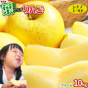 葉っぱの影は甘さのサイン【葉とらずりんご シナノゴールド10kg ファーム】家庭用（13-23玉×2段） 本場青森 GOLD農園 送料無料 りんご 林檎 訳あり 青森りんご [※産地直送品同梱不可][冷蔵便]