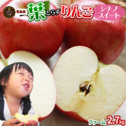 葉っぱの影は甘さのサイン 【葉とらずりんご シナノスイート2.7kg ファーム】家庭用 (7-12玉) 本場青森 ゴールド農園 送料無料 りんご リンゴ [※産地直送のため同梱不可]