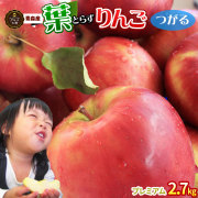 葉っぱの影は甘さのサイン 【葉とらずりんご つがる2.7ｋｇ　プレミアム】贈答用(8-10玉) 送料無料 本場青森 ゴールド農園から産直新鮮便 リンゴ 林檎 アップル 青森 りんご [※産地直送のため同梱不可]「GOLD」